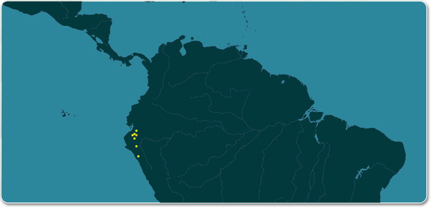 występowanie Espostoa lanata