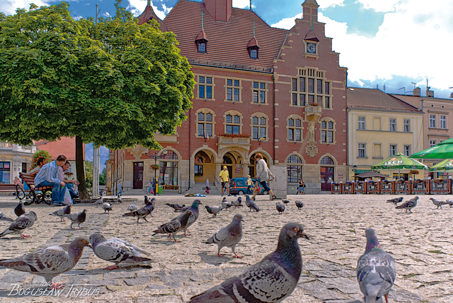Rynek W Tarnowskich G rach Poznaj 100