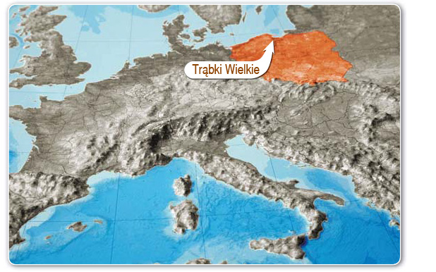 Mapa Trąbek Wielkich